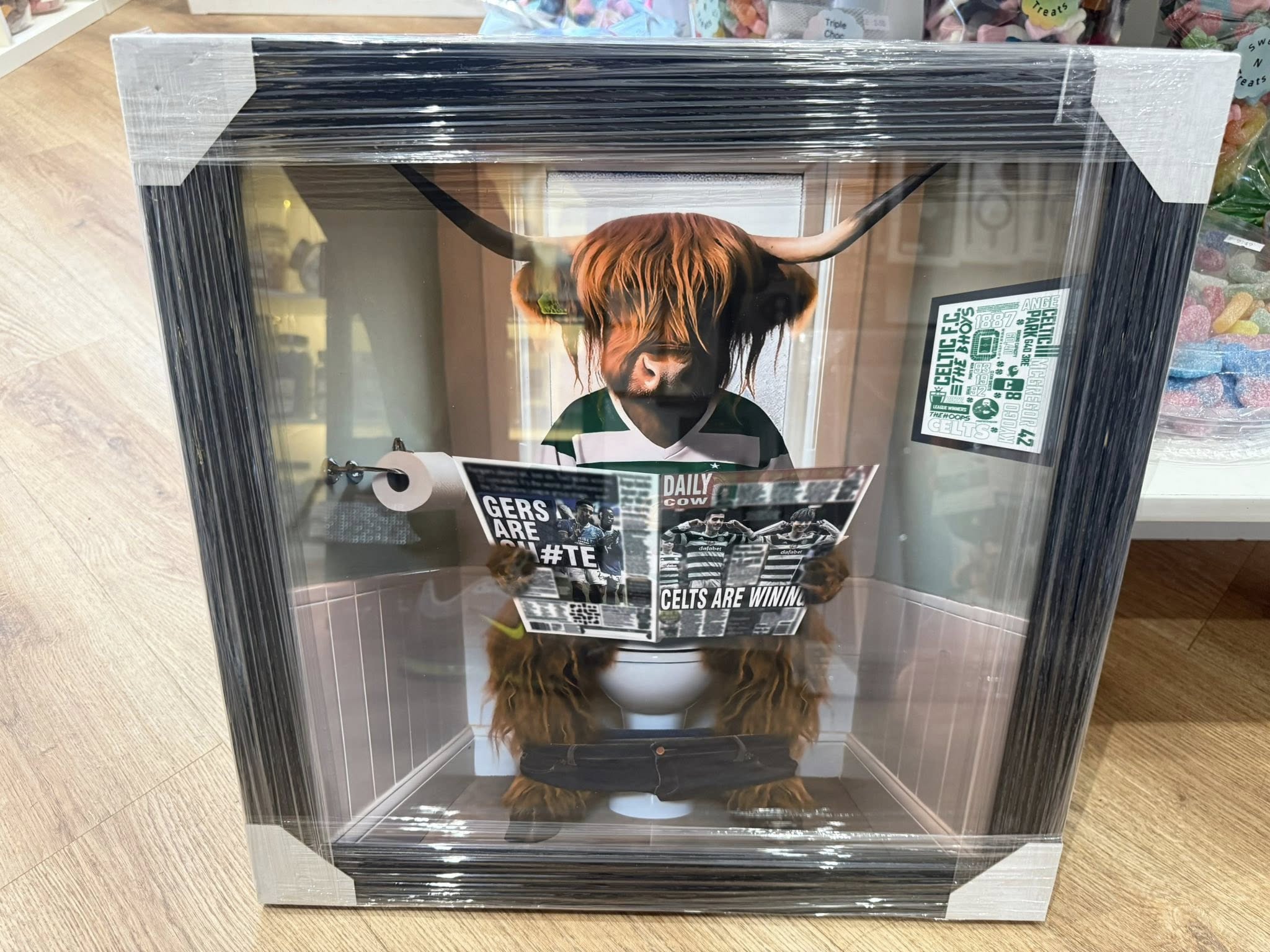 Celtic Highland Cow Picture
