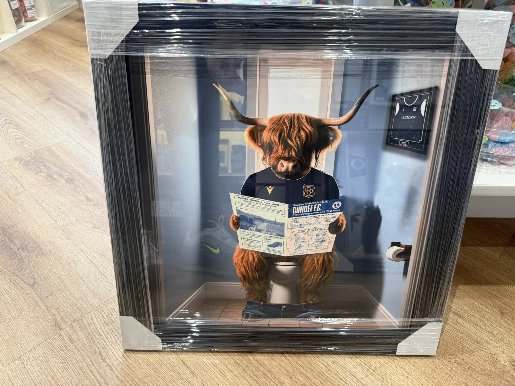 Dundee Highland Cow Picture
