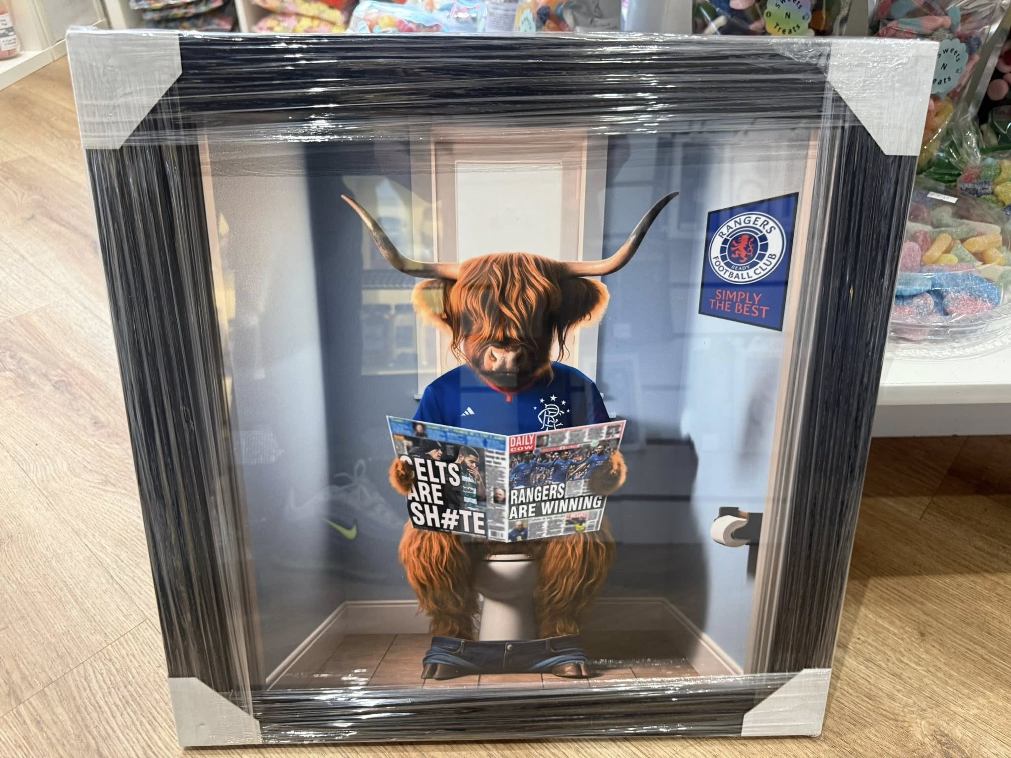 Rangers Highland Cow Picture