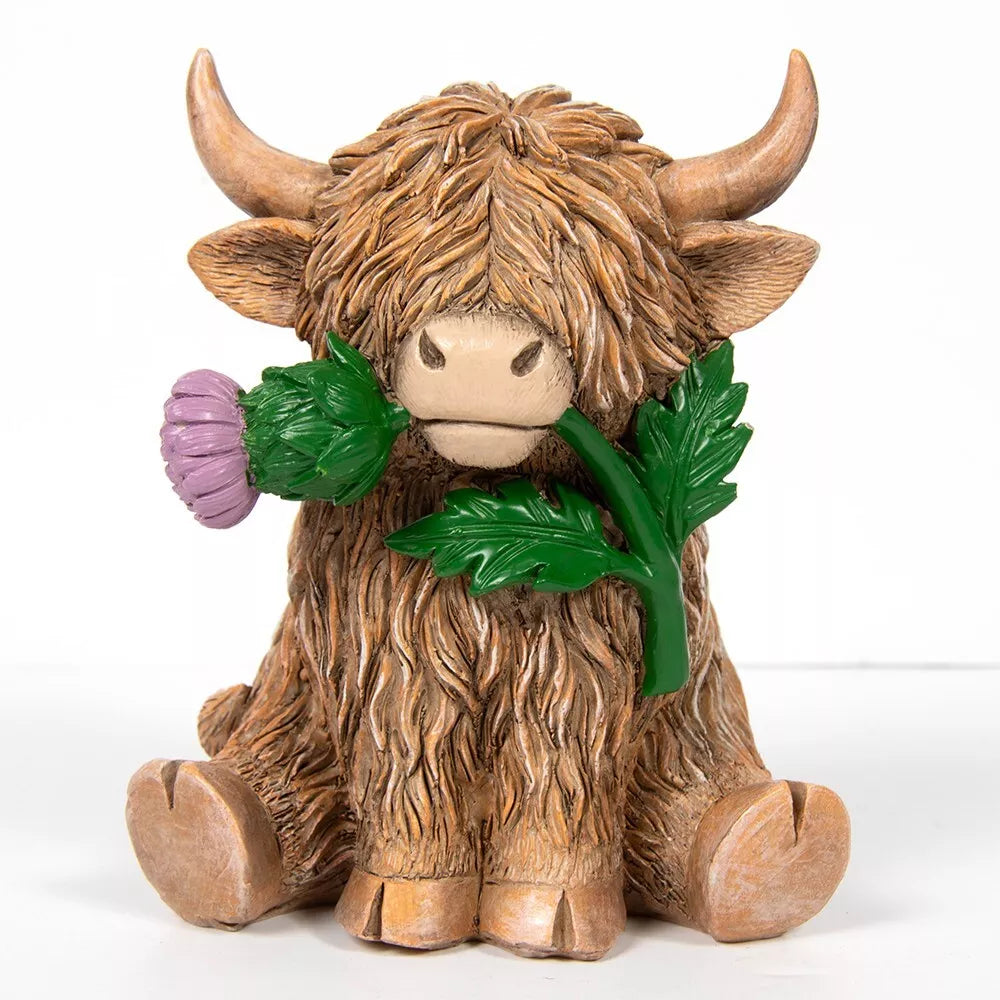 Highland Cow with Thistle