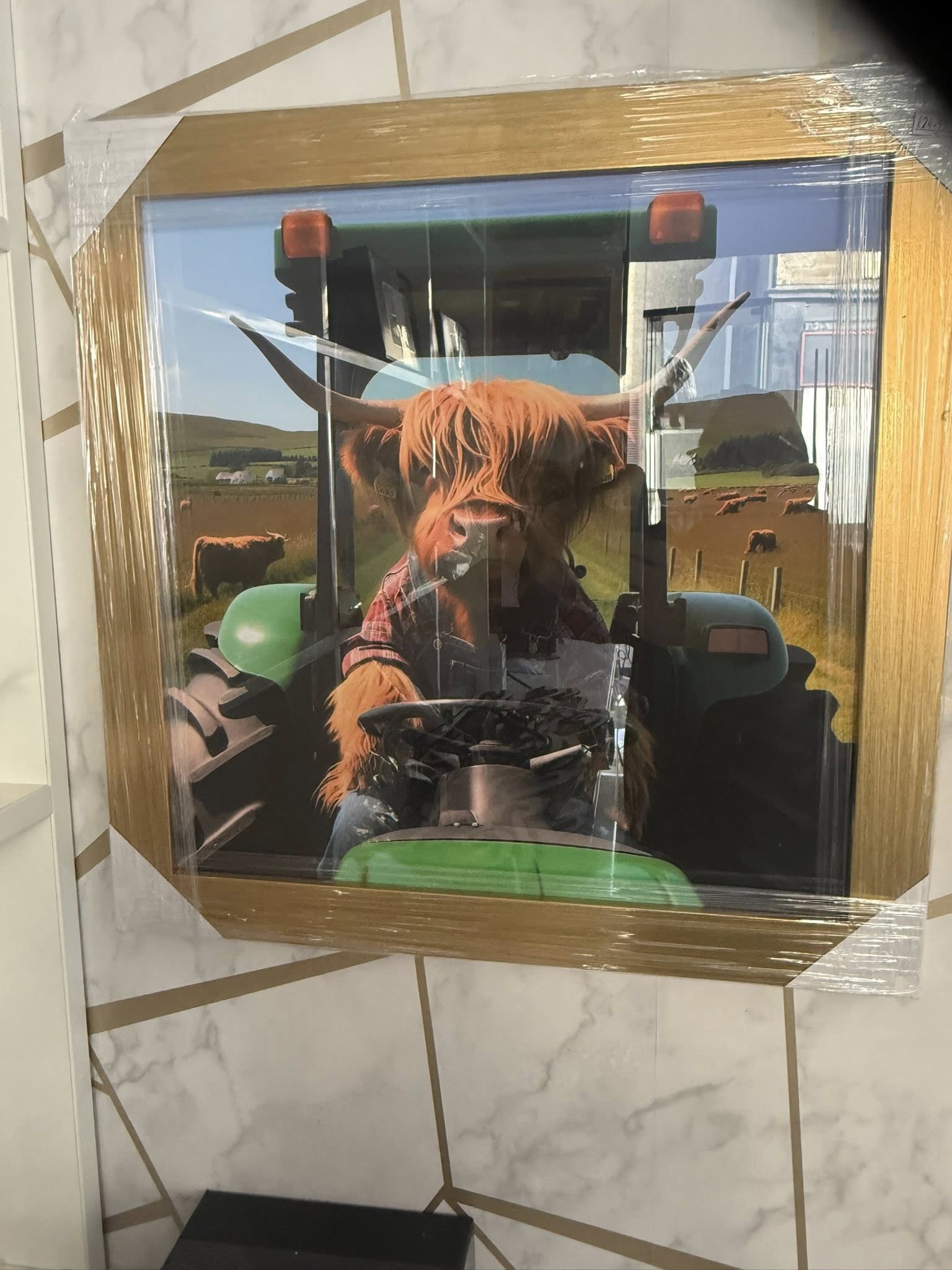 Tractor Highland Cow Picture