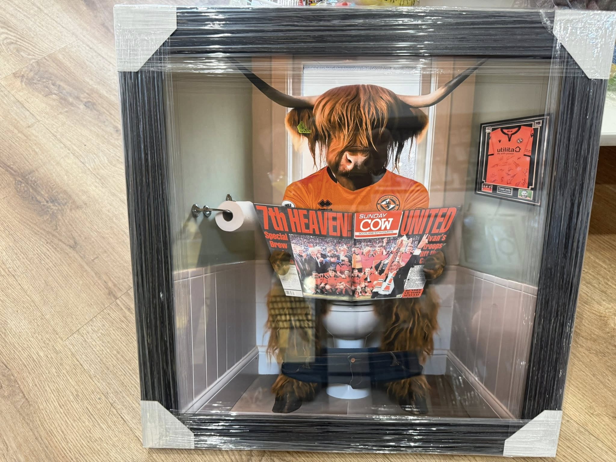 Dundee United Highland Cow Picture
